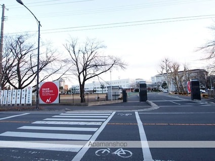シャインコート[1K/26.5m2]の周辺2