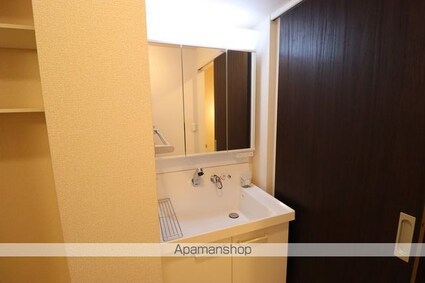 ビューテラス[2LDK/57.09m2]の洗面所