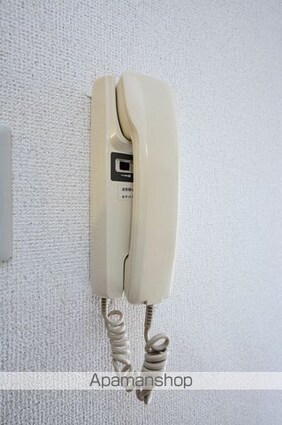 メゾン・ド・ロアイヤル[1R/13.78m2]のセキュリティ