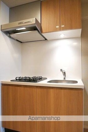 ラフィスタ板橋本町[2K/25.5m2]のその他内装9
