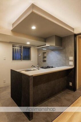 東京都渋谷区代々木４丁目[1LDK/52.84m2]のキッチン2