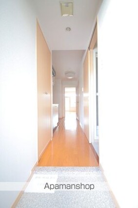 アネシス[1K/30.69m2]の玄関