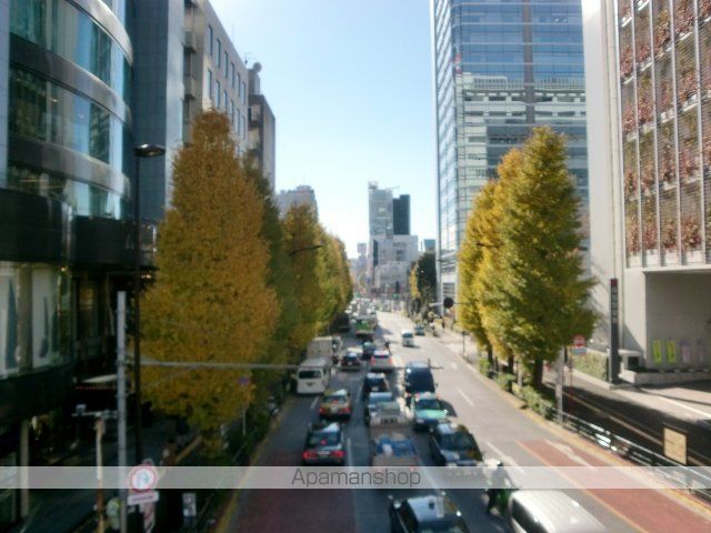 レオネクストアルバーロ原宿の周辺写真