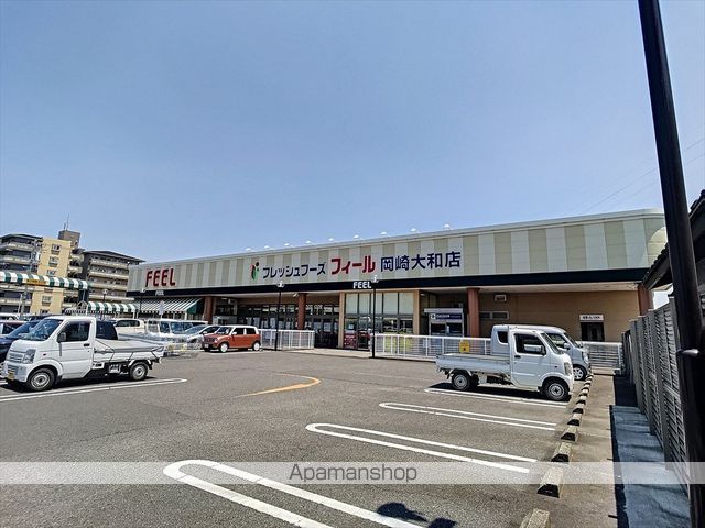 コスモスの周辺写真