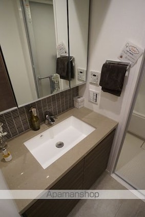 ザ・パークハビオ新宿[1DK/31.68m2]の洗面所