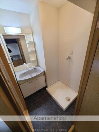 ラ　ヴェラ　ヴィータ[1K/30.35m2]の洗面所