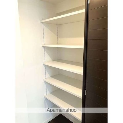 セントラルガーデン・レジデンスＡ棟[2LDK/75.28m2]の収納