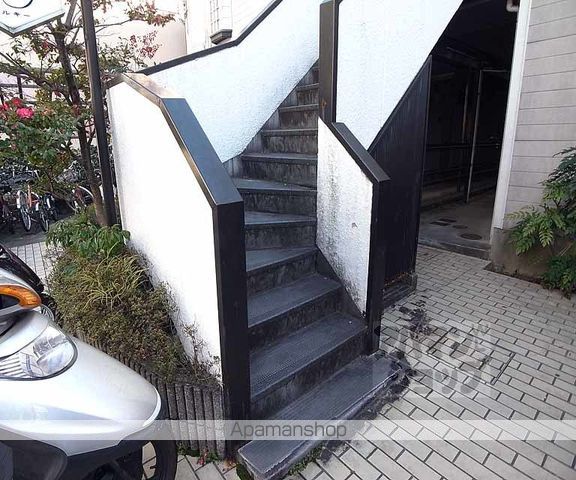 シルキーのその他写真