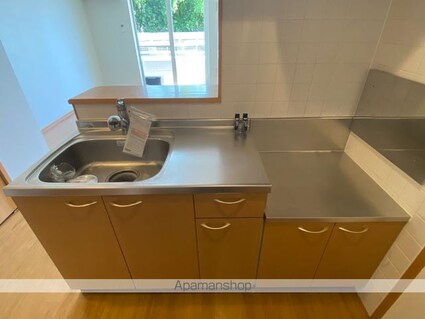 カサデプラシードⅡ[1K/33.15m2]のキッチン