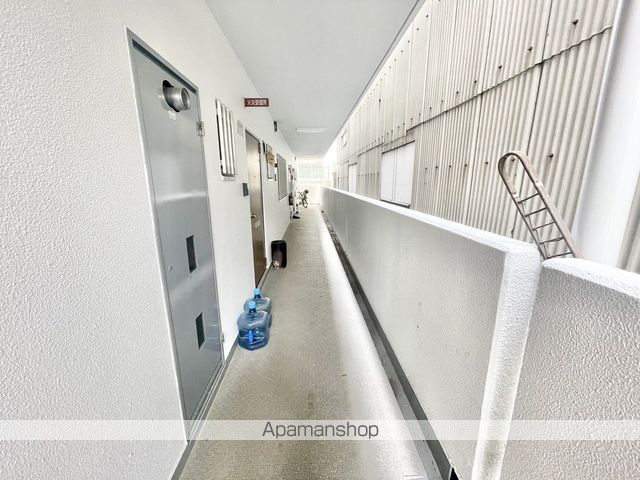 セントポーリアのその他写真