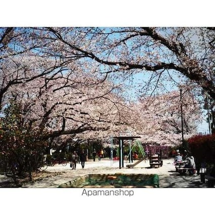 東京都杉並区下高井戸４丁目[1K/19.61m2]の周辺8