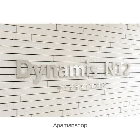 DYNAMIS N12のその他写真