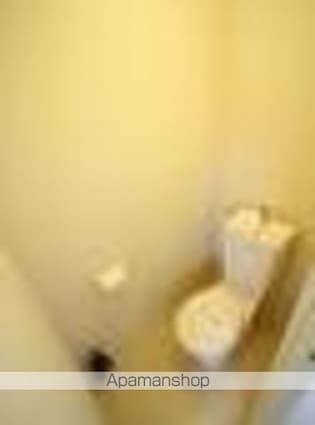 ルミエール持田Ⅱ[1K/23.18m2]のトイレ