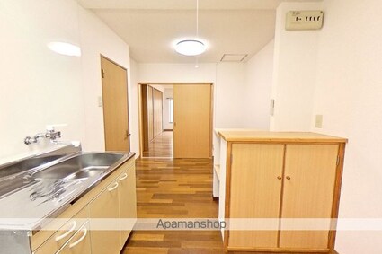 日の出マンション[1DK/30.63m2]の内装