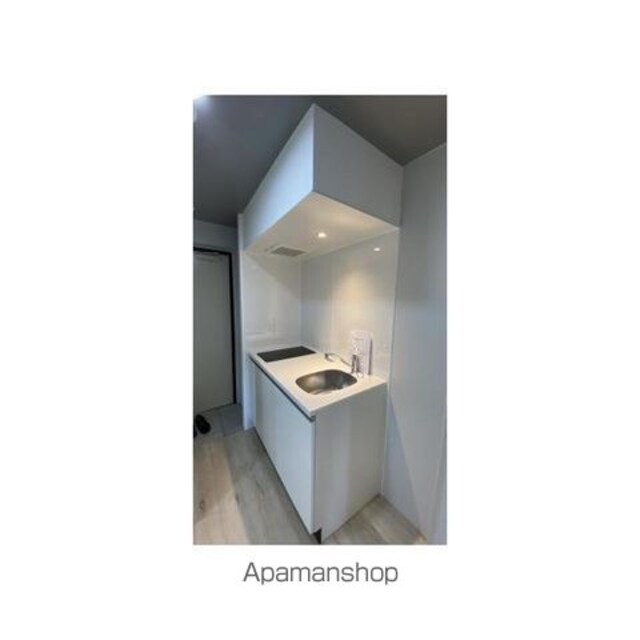 カーサピアッツァ新宿西落合[1K/18.8m2]のキッチン