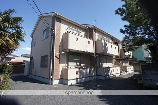 ルピナス
