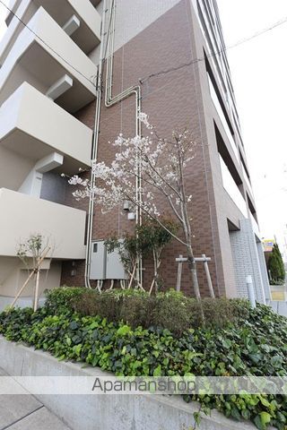 ESPERANZA桜のその他写真