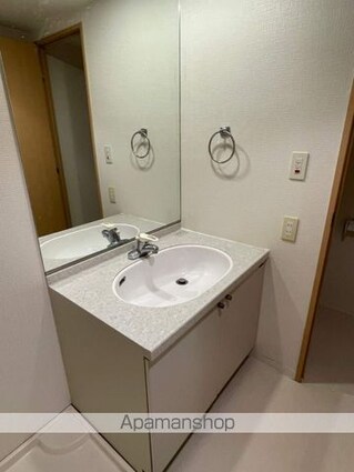 ＳＳ．ＦＬＡＴ神楽坂ｓｏｕｔｈ[1LDK/39.78m2]の洗面所