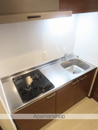 プレール・ドゥーク板橋舟渡[1K/25.53m2]のキッチン