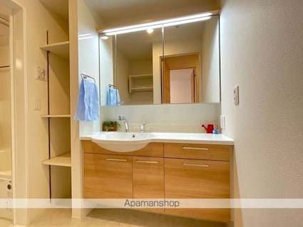 ベルコート川崎[1LDK/43.94m2]の洗面所