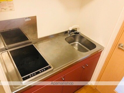 レオネクストスプリングヒル[1K/28.02m2]のキッチン