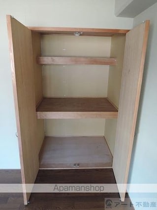 アップルリング[2DK/38.34m2]の収納