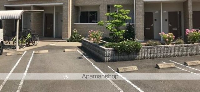 プルメリアのその他写真