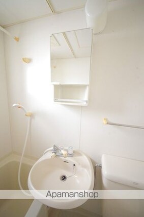 メゾンドプレーヌ[1R/17.39m2]の洗面所