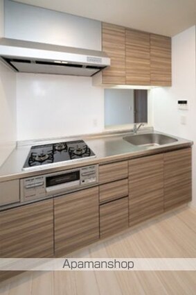 ルミレイス豊洲[1LDK/46.37m2]のキッチン