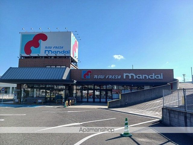 デイジーの周辺写真