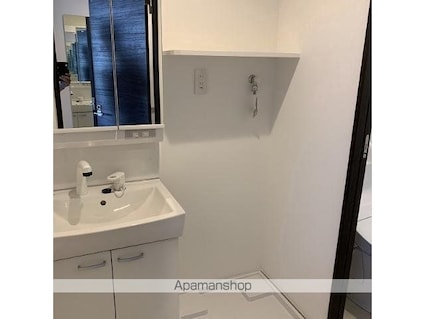 ピアコートＴＭ富士見台弐番館[1K/21.3m2]の洗面所