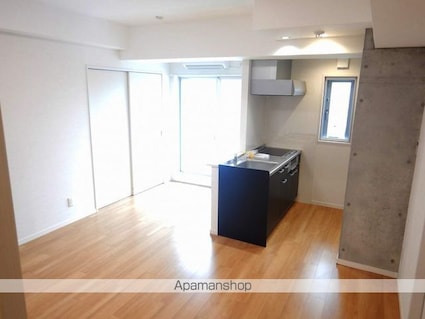 サン・ミッシェル[1R/36.17m2]の内装3