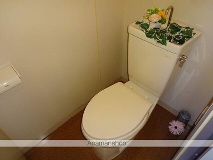 多賀ハイツ[1R/20m2]のトイレ