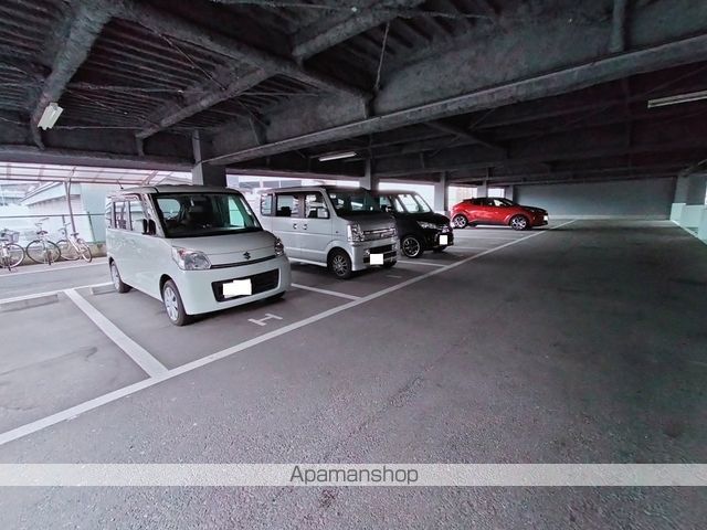 エバーグリーンのその他写真