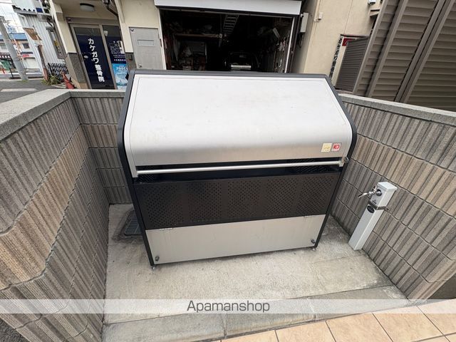 プリムローズのその他写真