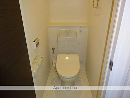 スカイ　グレイス（Ｓｋｙ　Ｇｒａｃｅ）[2LDK/60m2]のトイレ