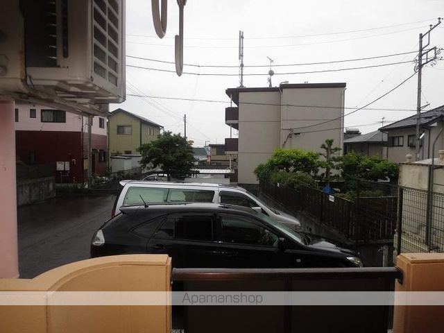 サンズ杉の木のその他写真