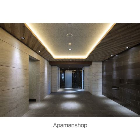 SーRESIDENCE岡崎公園AUREATEの玄関写真