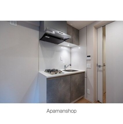 デュオフラッツ日本橋水天宮[1R/25.84m2]のキッチン