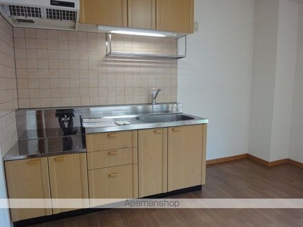 ヒルズビレッジ[2DK/51.99m2]のキッチン