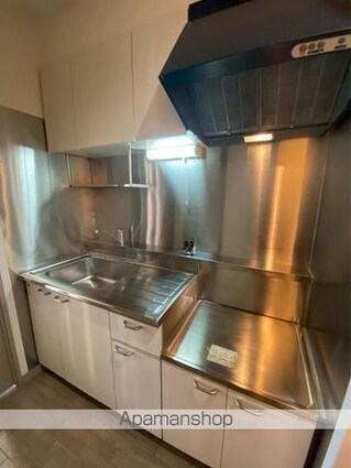 ロータス伏石[1K/32.04m2]のキッチン