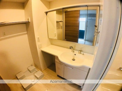 ホワイトクレイン野洲[1LDK/41.01m2]の洗面所