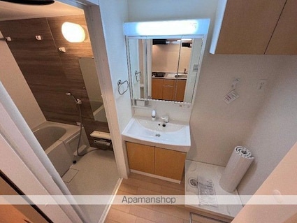 フェニックスⅡ[1K/27.44m2]の洗面所