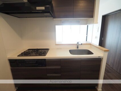 レジディア新御徒町Ⅱ[2DK/43.86m2]のキッチン