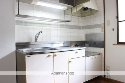 グリーン・リーフ軽井沢[2DK/46.06m2]のキッチン