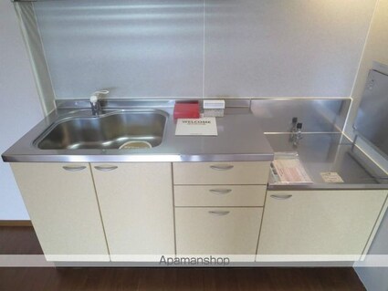 パーシモンフィールドＢ棟[2DK/50.42m2]のキッチン