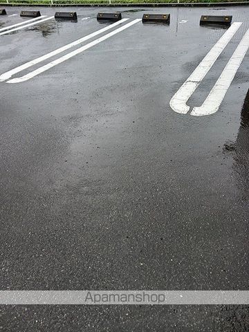 エクセレント アベリアのその他写真