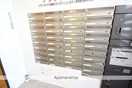 ロアール南竹屋[1K/29.89m2]の共用部5