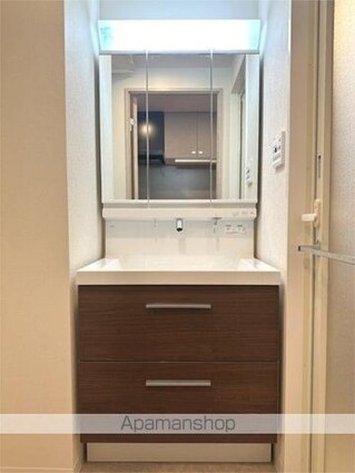 ＡＥＬＬ亀有[1K/27.05m2]の洗面所