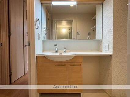 Ｒｅｇａｌｉａ（レガリア）[1LDK/30.73m2]の洗面所